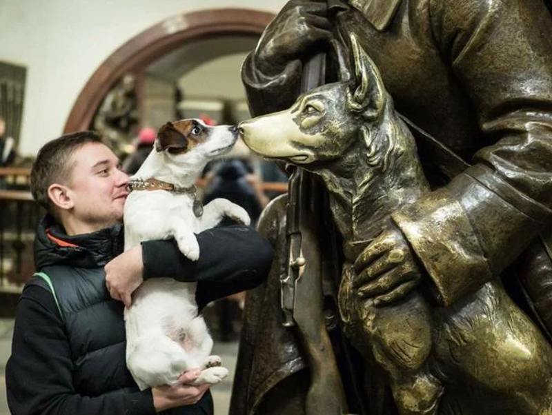 Встреча собак на "Площади революции"