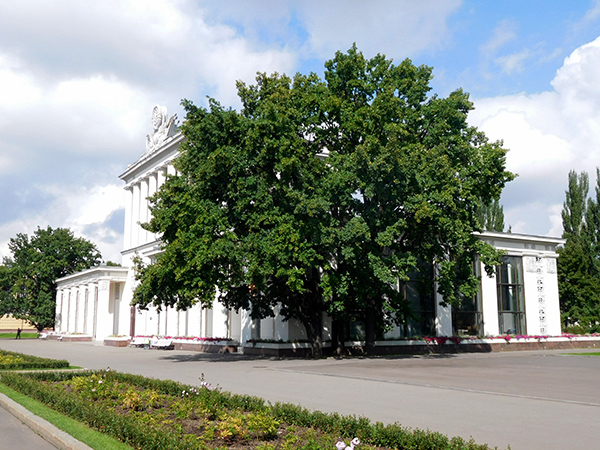Павильон 64 на ВДНХ: вид со стороны бывшей площади Колхозов