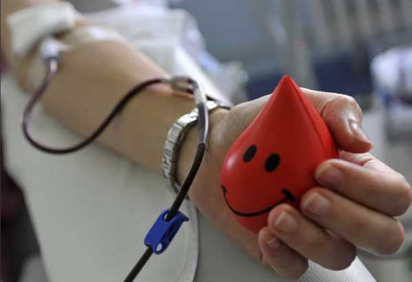 Где сдать кровь в Москве за деньги: центры переливания крови и цена