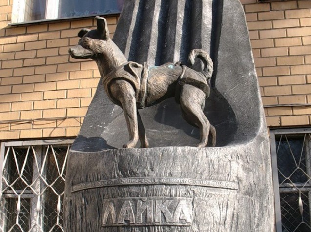 Памятник собаке Лайке в городе Москве