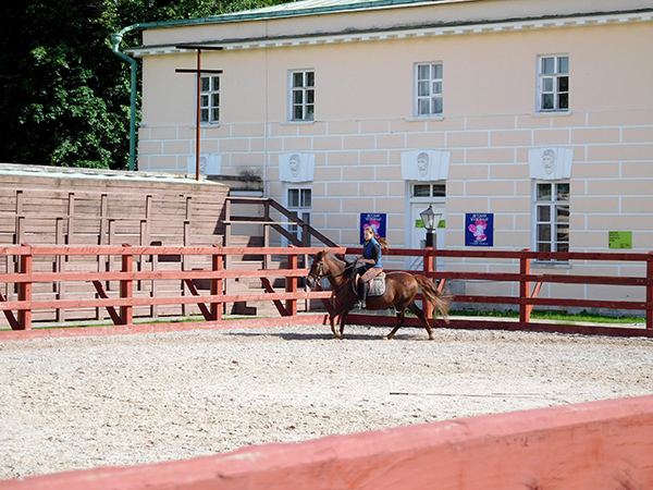 Выездка лошадей на Конном дворе в Кузьминках