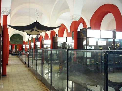 Один из многочисленных залов музея на Большой Никитской улице