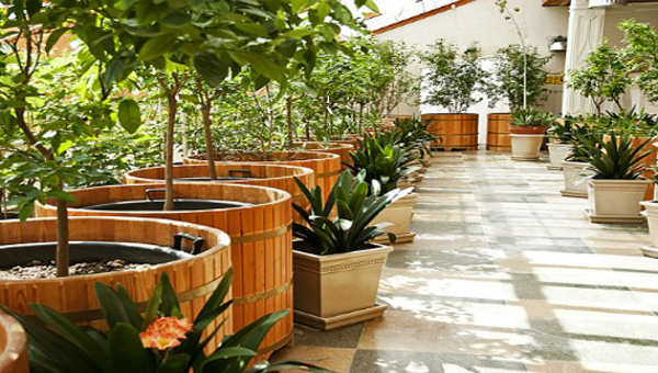 Внутренние помещения оранжереи с кадками для растений